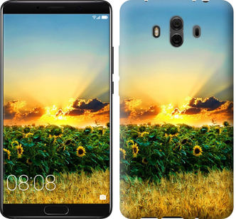 

Чехол Украина для Huawei Mate 10 655240