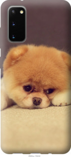 

Чохол Boo 2 на Samsung Galaxy S20 948620