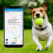 Трекер GPS для животных V41 Pet Tracker SIM (4GLTE+3GWCDMA+2GGSM) 1300mAh (White) в магазине vchehle.ua