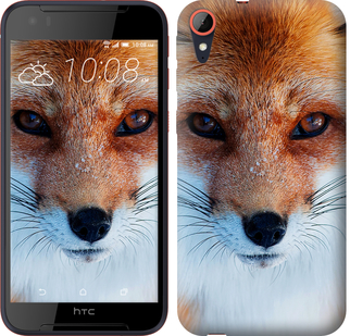 

Чохол Руда лисиця на HTC Desire 830 577814