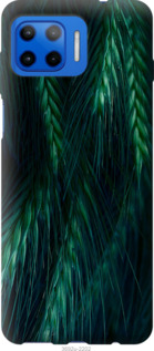 

Чохол Колоски на Motorola Moto G Plus 1580161