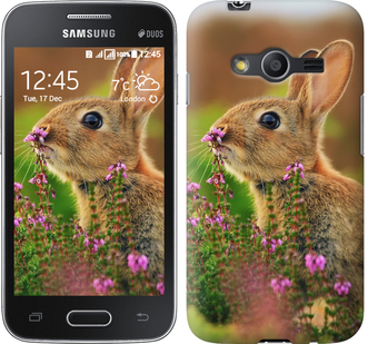 

Чехол Кролик и цветы для Samsung Galaxy Ace 4 G313 149901