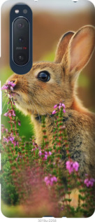 

Чехол Кролик и цветы для Sony Xperia 5 II 1184438