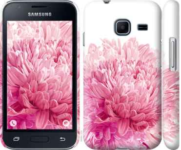 

Чехол Хризантема для Samsung Galaxy J1 Mini J105H 844198