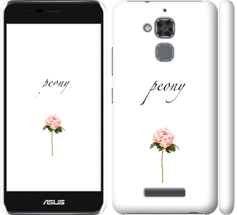 

Чехол Пион для Asus Zenfone 3 Max ZC520TL 754750