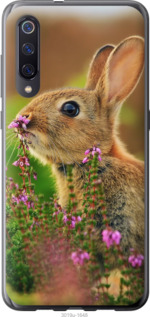 

Чохол Кролик і квіти на Xiaomi Mi9 705727