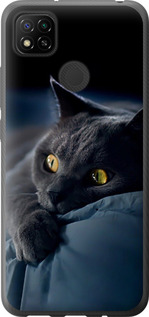 Чохол Димчастий кіт на Xiaomi Redmi 9C