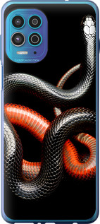 

Чехол Красно-черная змея на черном фоне для Motorola G100 1685285