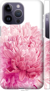 

Чохол Хризантема на iPhone 14 Pro Max 1482627