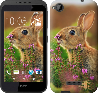 

Чохол Кролик і квіти на HTC Desire 320 149925