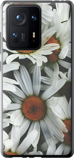 

Чохол Ромашки v2 на Xiaomi Mix 4 1624269