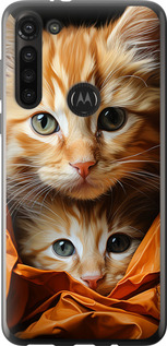 

Чехол Котики 2 для Motorola G8 Power 1647952