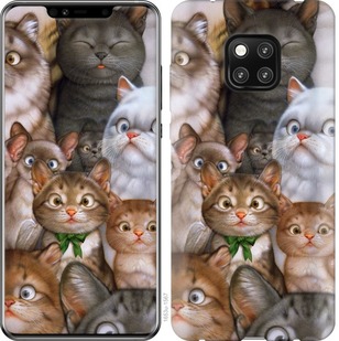 

Чехол коты для Huawei Mate 20 Pro 757748