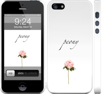 

Чехол Пион для iPhone SE 754218