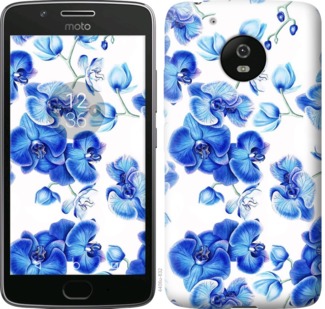 

Чохол Блакитні орхідеї на Motorola Moto G5 725319