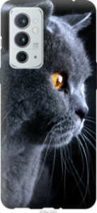 Чехол Красивый кот для OnePlus 9RT