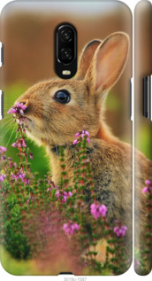 

Чехол Кролик и цветы для OnePlus 6T 695496
