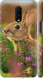 Чехол Кролик и цветы для OnePlus 6T