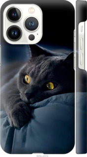 Чехол Дымчатый кот для iPhone 13 Pro