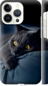 Чехол Дымчатый кот для iPhone 13 Pro