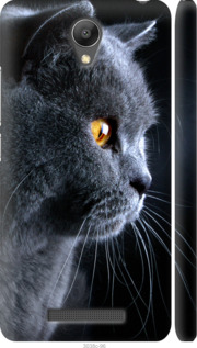 Чохол Гарний кіт на Xiaomi Redmi Note 2