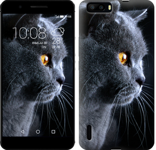 

Чехол Красивый кот для Huawei Honor 6 Plus 117131