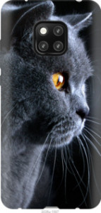 Чехол Красивый кот для Xiaomi Poco X3