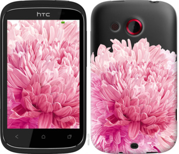 

Чохол Хризантема на HTC Desire C A320e 844231