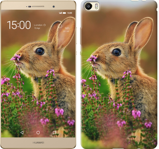 

Чехол Кролик и цветы для Huawei P8 Max 304797