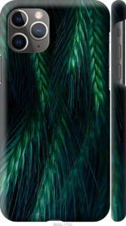 

Чохол Колоски на iPhone 11 Pro Max 942231