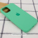 Фото Чохол Silicone Case Full Protective (AA) на Apple iPhone 16 Pro Max (6.9") (Зелений / Spearmint) на vchehle.ua