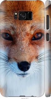 

Чохол Руда лисиця на Samsung Galaxy S8 Plus 78503