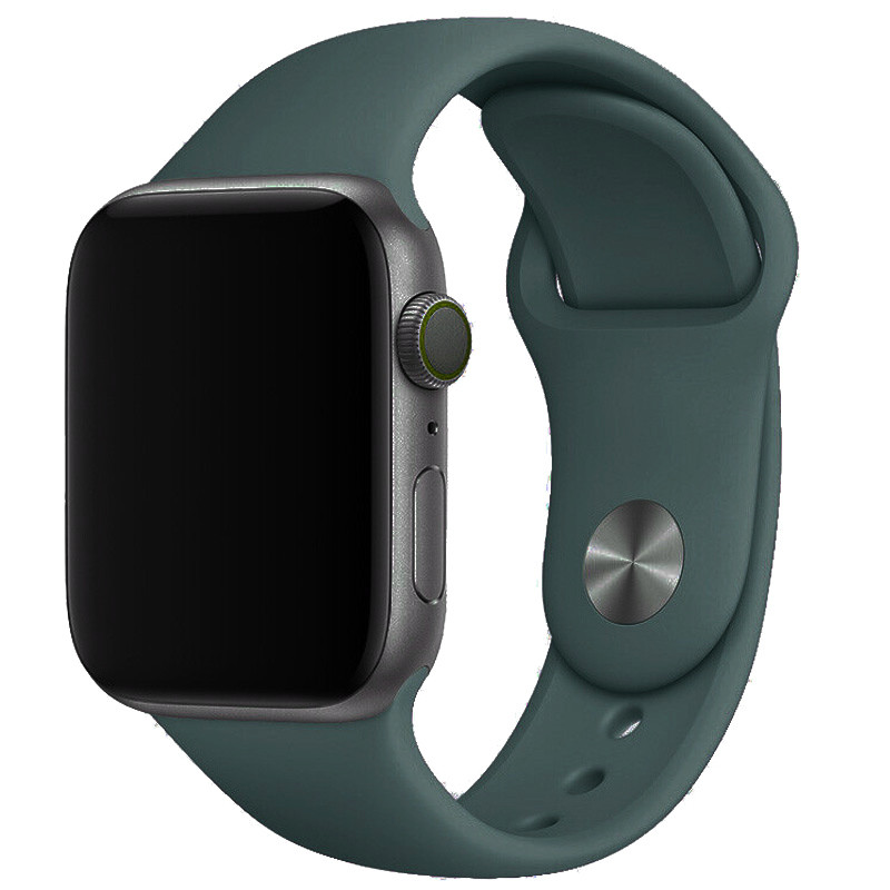 

Силиконовый ремешок для Apple watch 42mm / 44mm (Зеленый / Dark green) 1058022