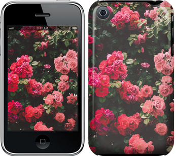 

Чохол Кущ з трояндами на iPhone 3Gs 639063