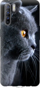Чехол Красивый кот для Oppo Reno 3