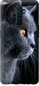 Чехол Красивый кот для Oppo Reno Ace