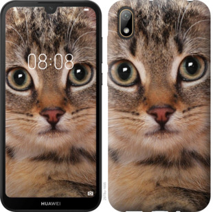 

Чехол Полосатый котик для Huawei Y5 2019 711472