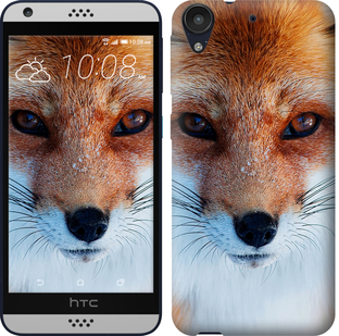 

Чехол Рыжая лисица для HTC Desire 630 577813