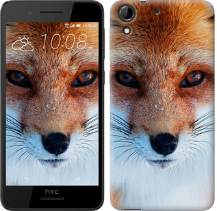 

Чохол Руда лисиця на HTC Desire 728G 78599