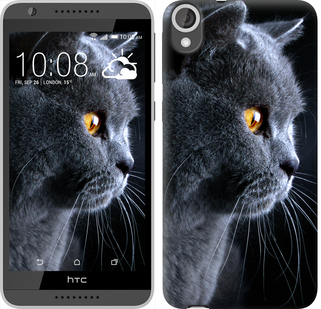 

Чохол Гарний кіт на HTC Desire 820 116953