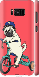 

Чехол Мопс на велосипеде для Samsung Galaxy S8 87532