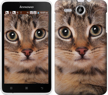 

Чехол Полосатый котик для Lenovo A529 175611