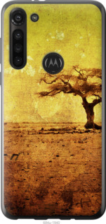 

Чехол Гранжевое дерево для Motorola G8 Power 1395503