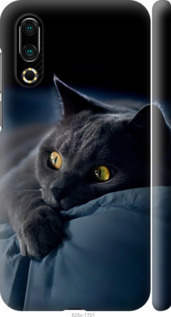 Чехол Дымчатый кот для Meizu 16S