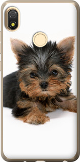 

Чехол Щенок йоркширского терьера для Tecno Pop 3 BB2 1612257