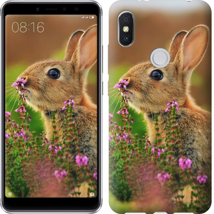 

Чехол Кролик и цветы для Xiaomi Redmi S2 656659