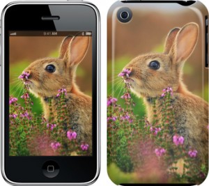 Чехол Кролик и цветы для iPhone 3Gs