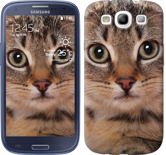 

Чохол Смугастий котик на Samsung Galaxy S3 i9300 175510