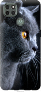 Чехол Красивый кот для Motorola G9 Power
