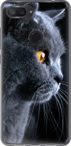 Чехол Красивый кот для Xiaomi Mi 8 Lite